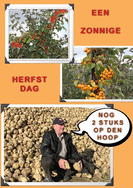 MG Herfstwandeling (41).JPG